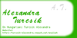 alexandra turcsik business card